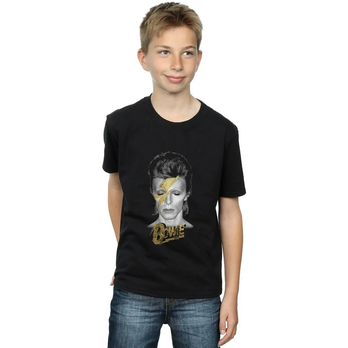 Aladdin Sane Gold Bolt