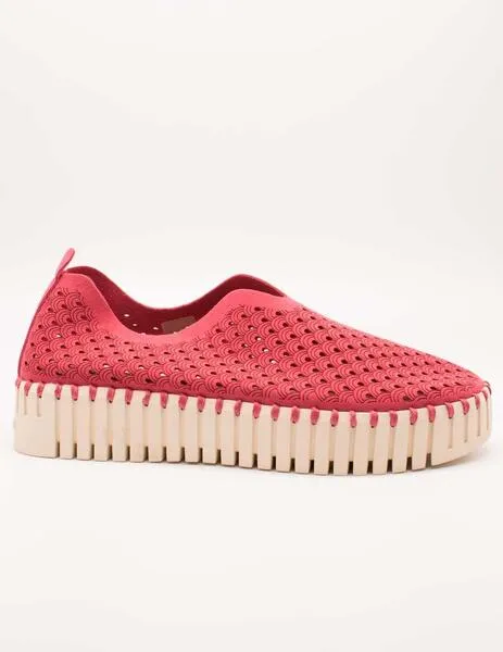 DEPORTIVO ILSE JACOBSEN TULIP3373309 VIVA MAGENTA DE MUJER