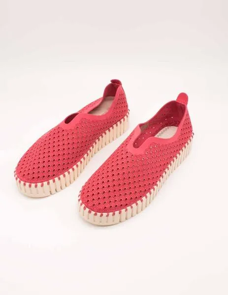 DEPORTIVO ILSE JACOBSEN TULIP3373309 VIVA MAGENTA DE MUJER
