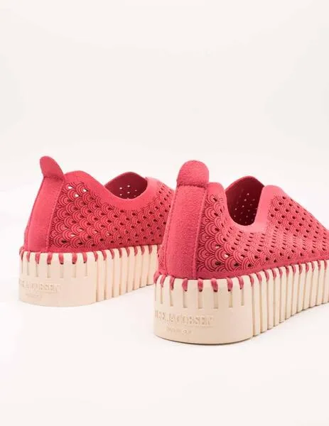 DEPORTIVO ILSE JACOBSEN TULIP3373309 VIVA MAGENTA DE MUJER