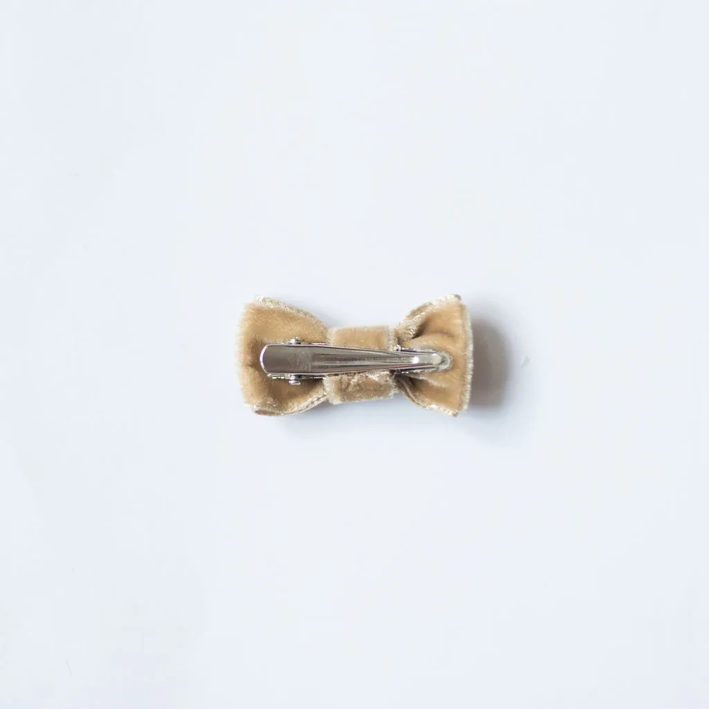 Lacito Ane camel