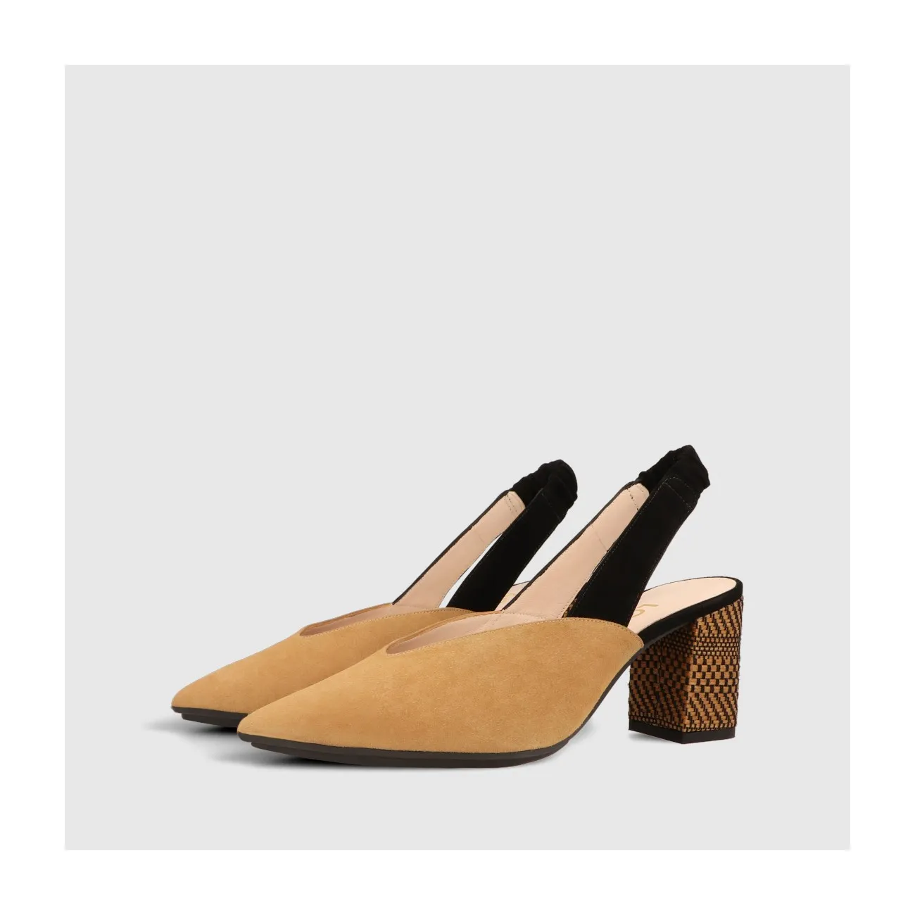 MODESTA CAMEL